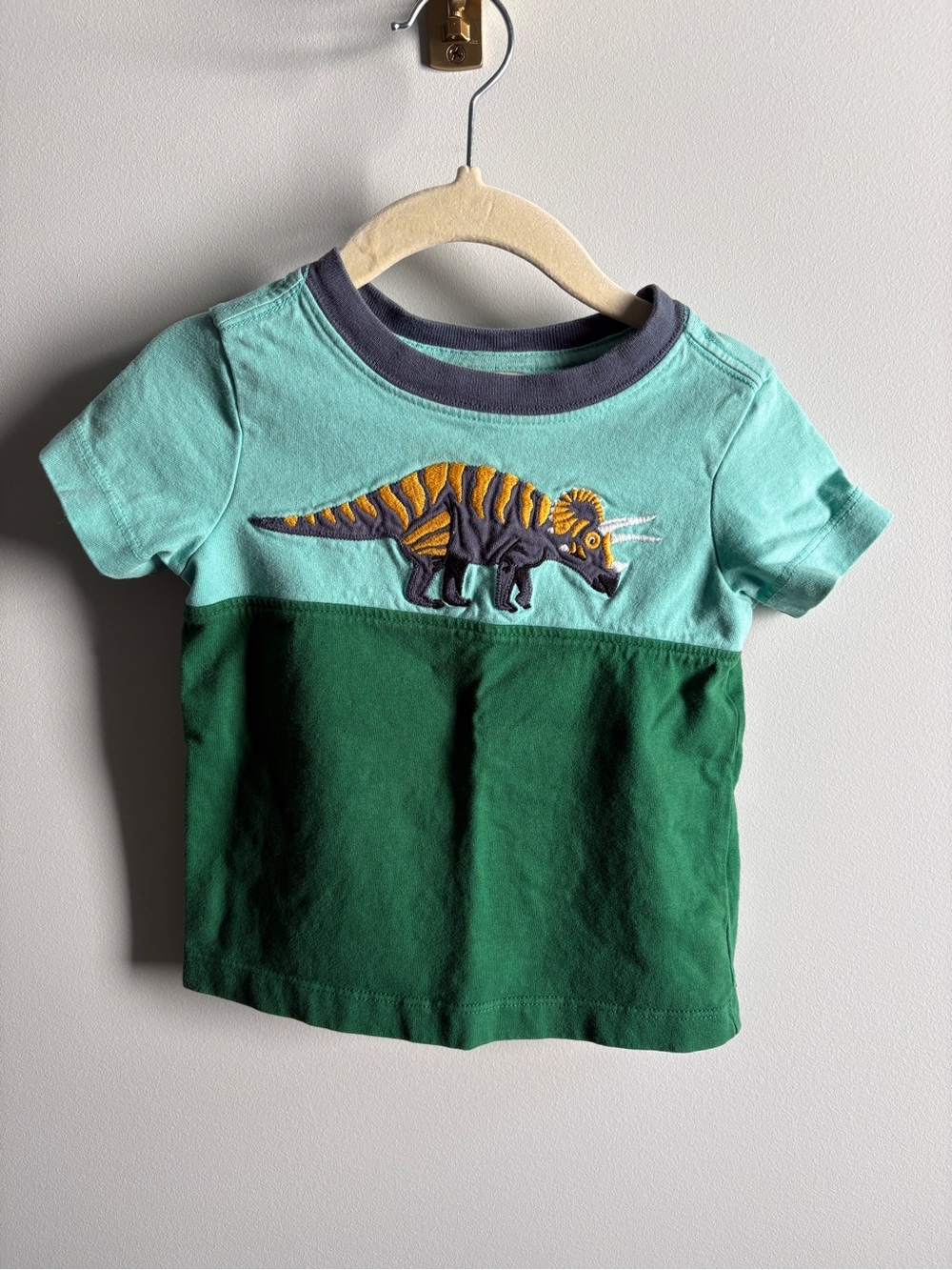 Hanna Andersson Teal & Forest Green Dinosaur Colorblock Tee